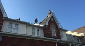 Mint Roofing Townhome Project