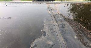 Mint roofing roof coating project